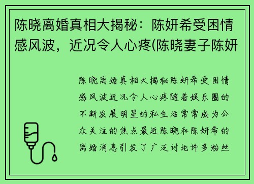 陈晓离婚真相大揭秘：陈妍希受困情感风波，近况令人心疼(陈晓妻子陈妍希)